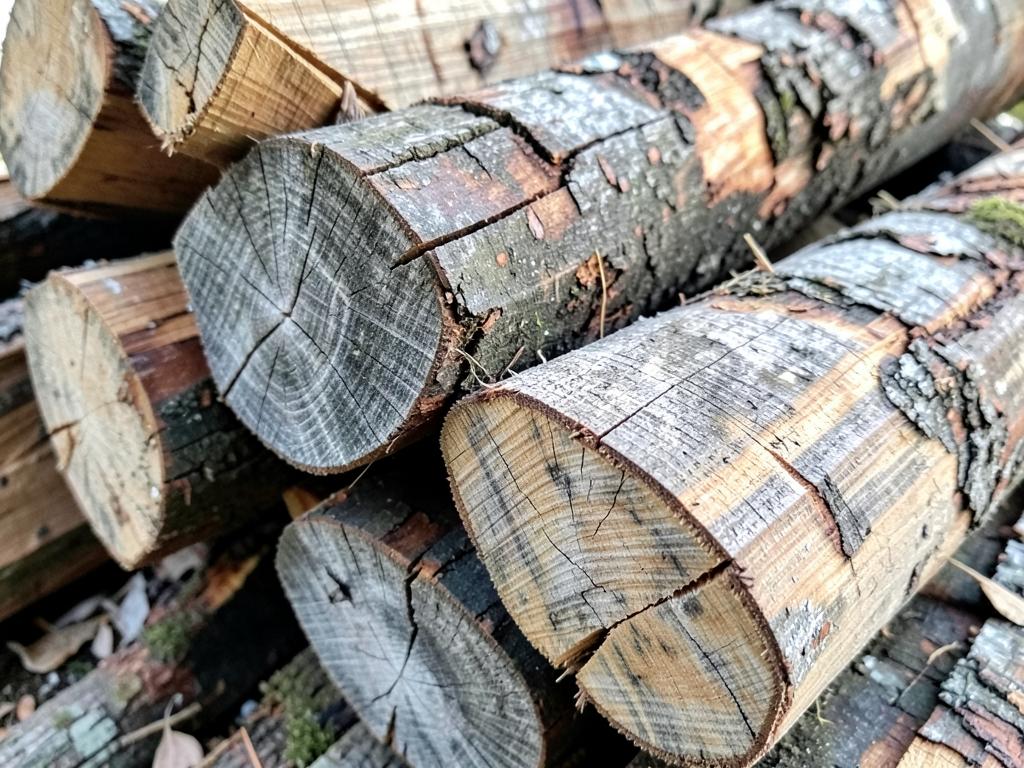 Close-up of seasoned split post oak firewood for delivery in Rowlett, TX