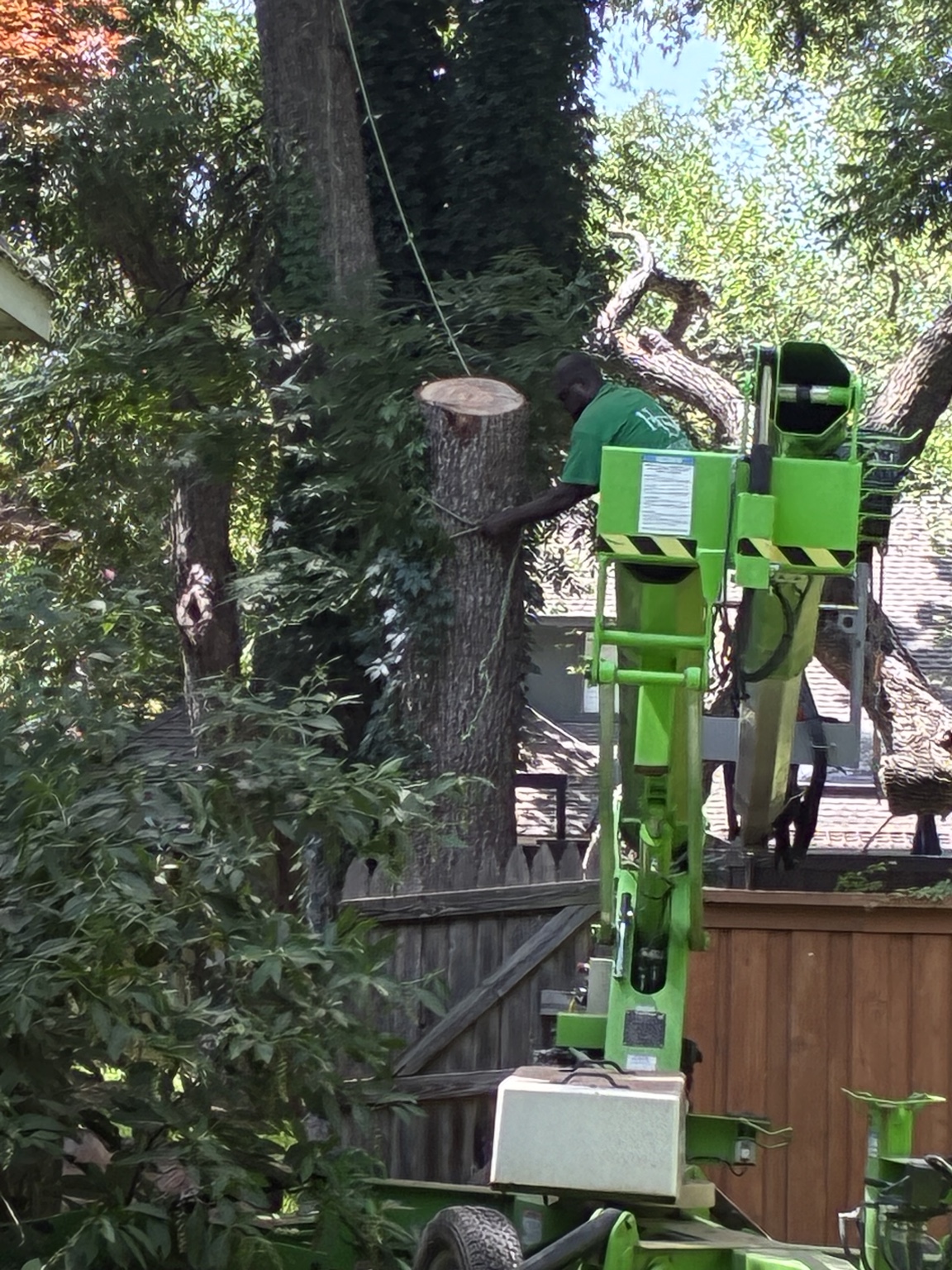 Crew member rigging a cut trunk section beside a tracked lift in Rockwall, TX