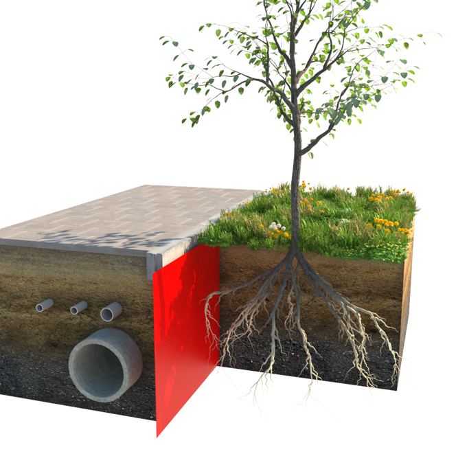 Cross-section diagram of a root barrier panel redirecting tree roots below a sidewalk and utilities