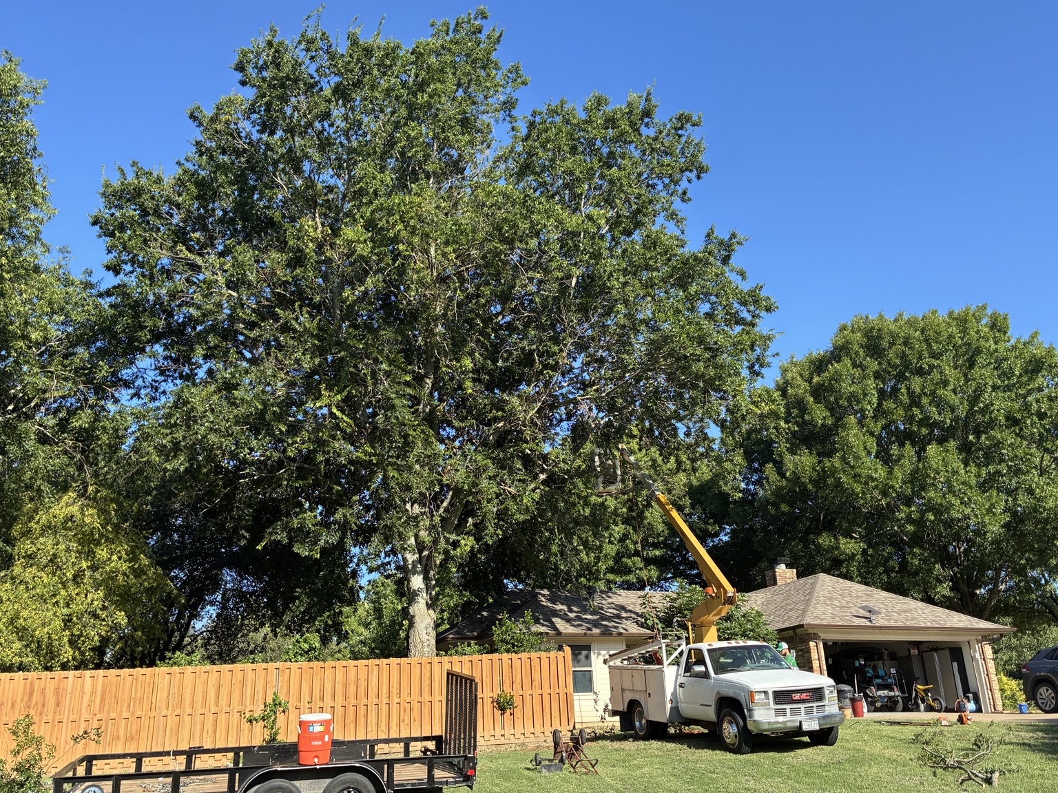 Bucket truck parked beside a large shade tree during a trim in Rowlett, TX