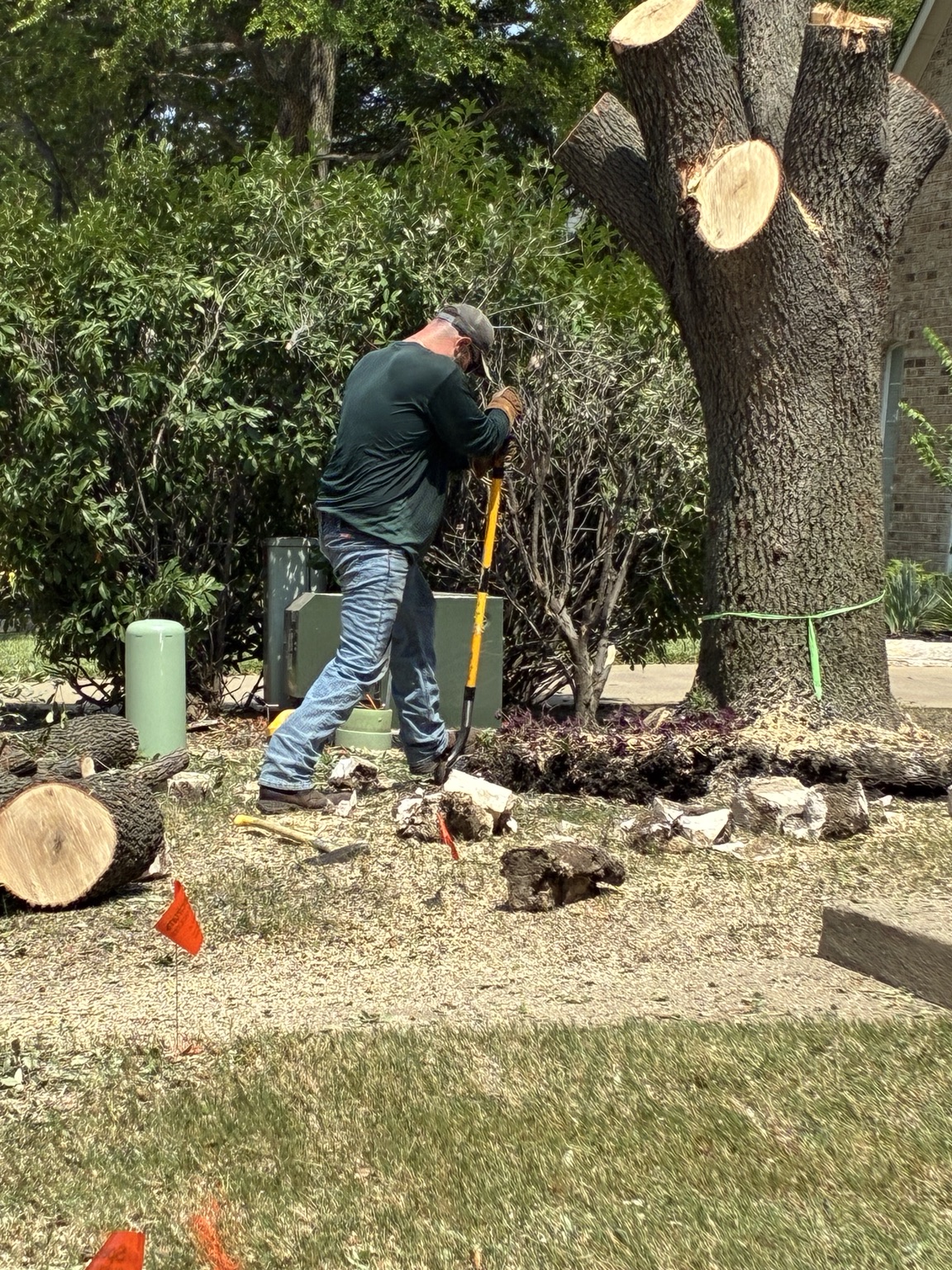 Hunters Tree Solutions owner working a tree removal job in Dallas, TX