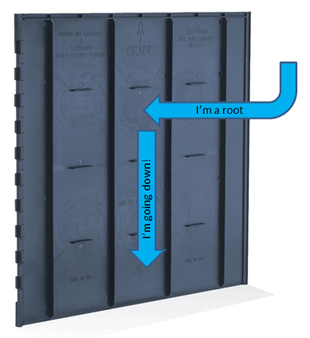 Close-up of a ribbed HDPE root barrier panel showing how roots are deflected downward